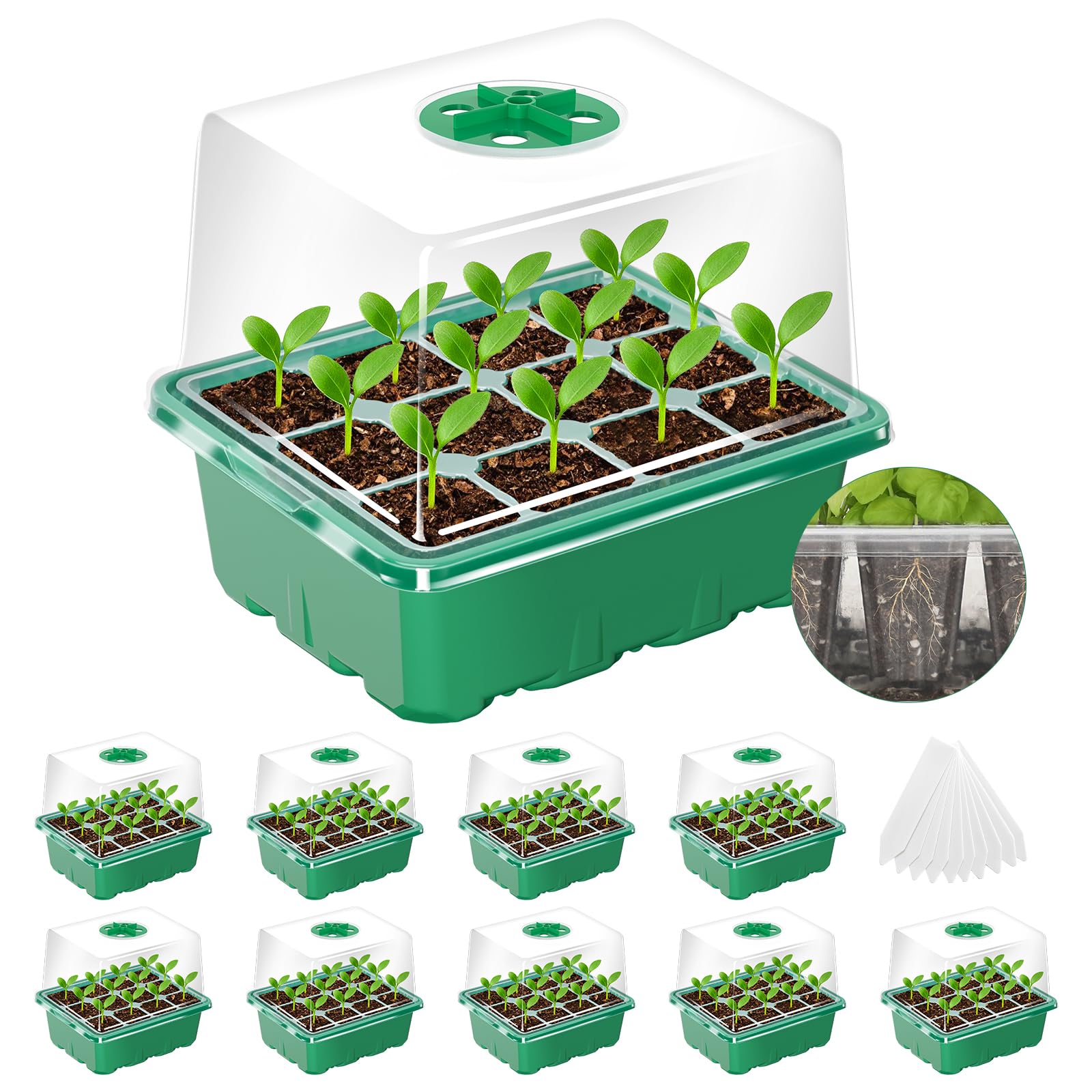 Seed Starter Tray
