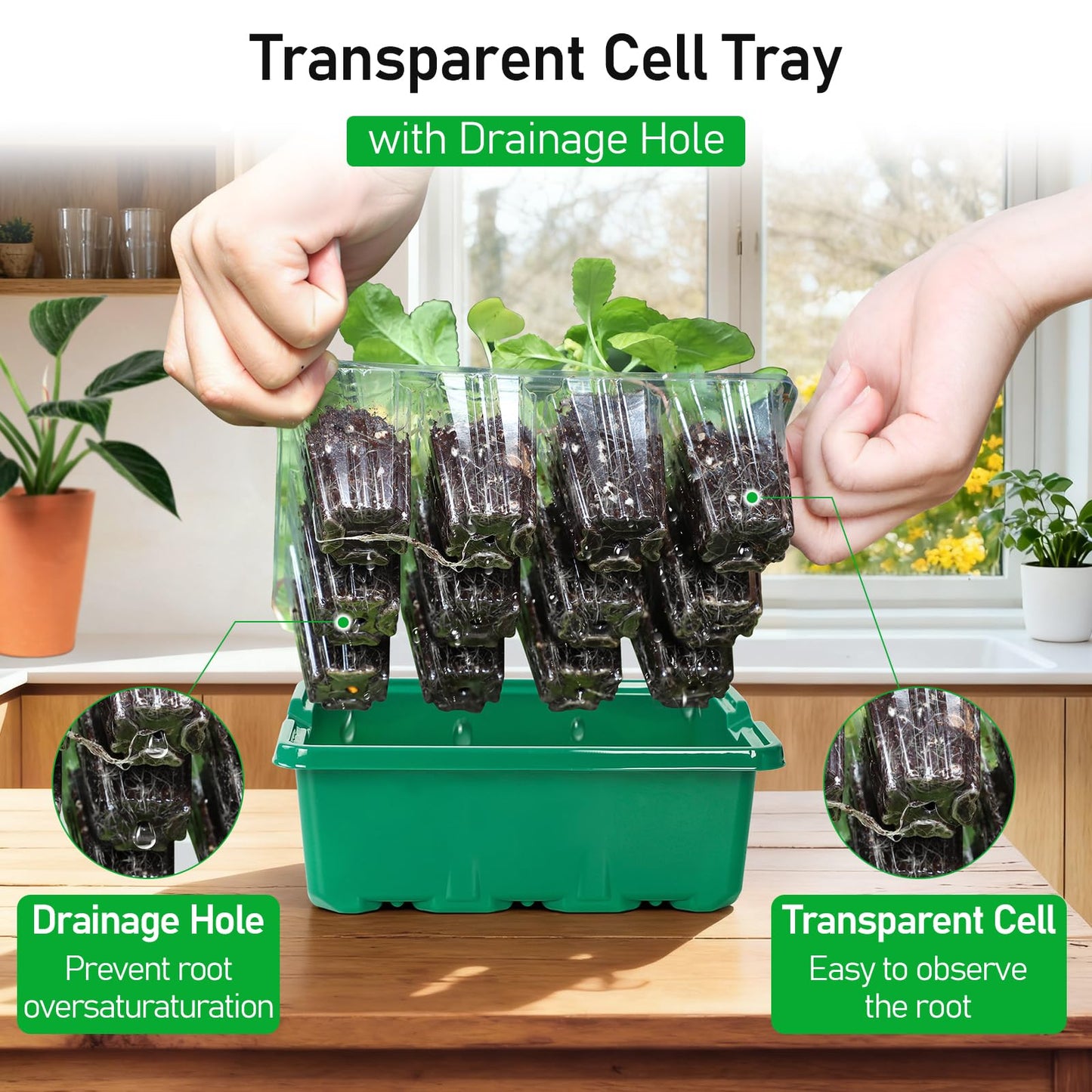 Seed Starter Tray