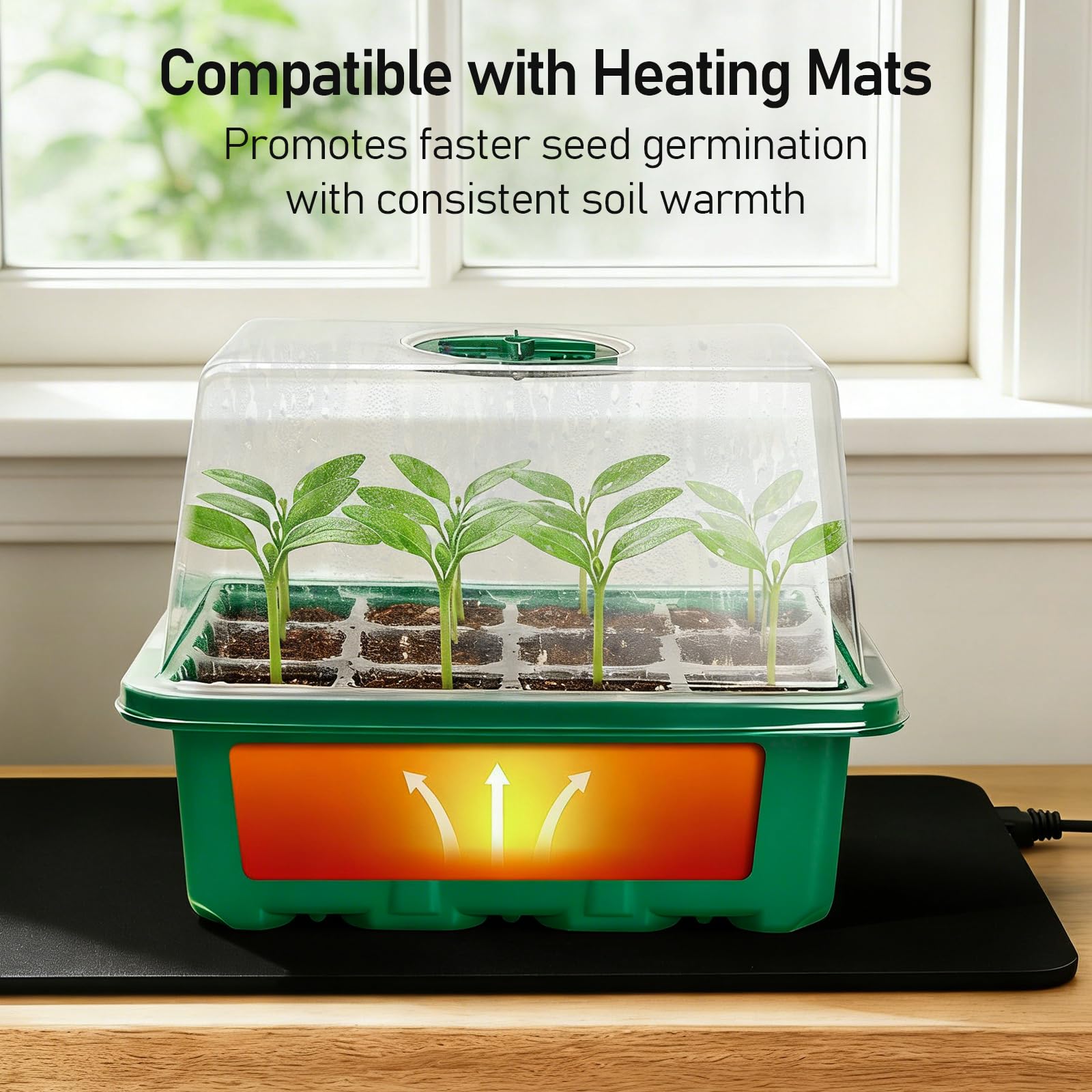 Seed Starter Tray