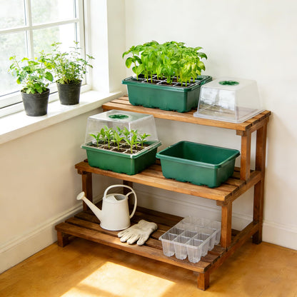 Seed Starter Tray